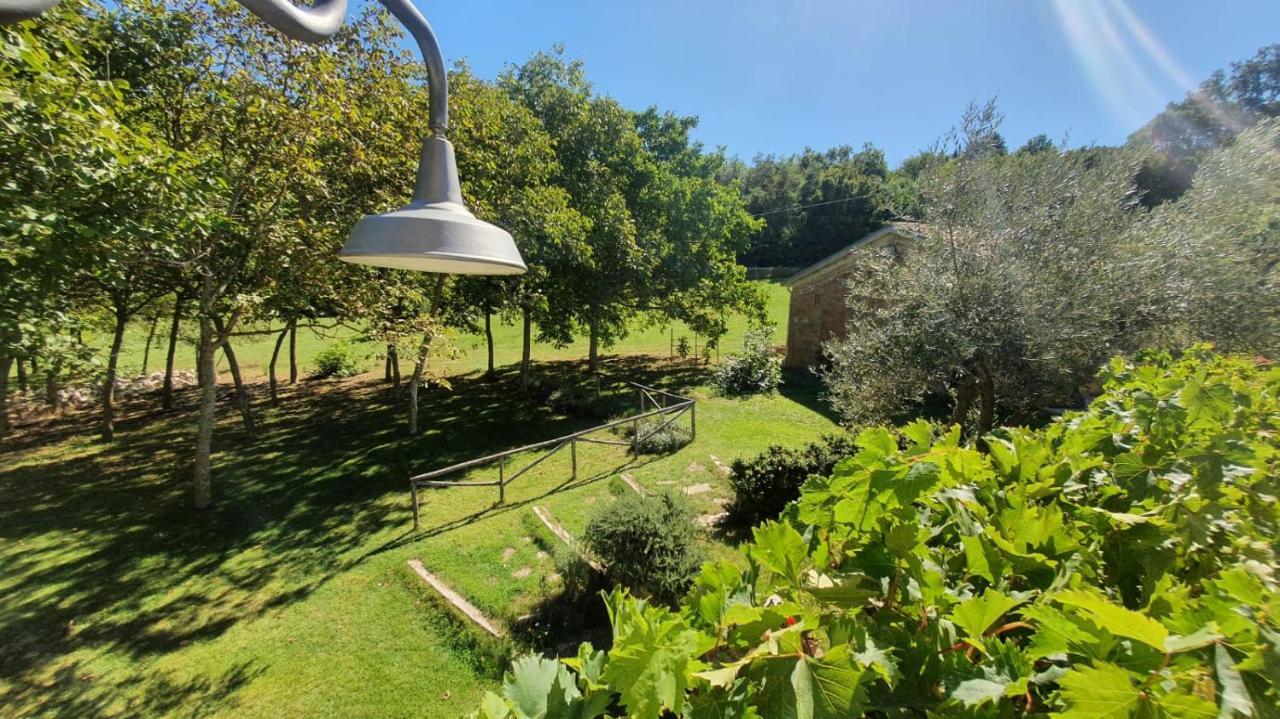 Busso Al Noceto Countryside Bed & Breakfast エクステリア 写真